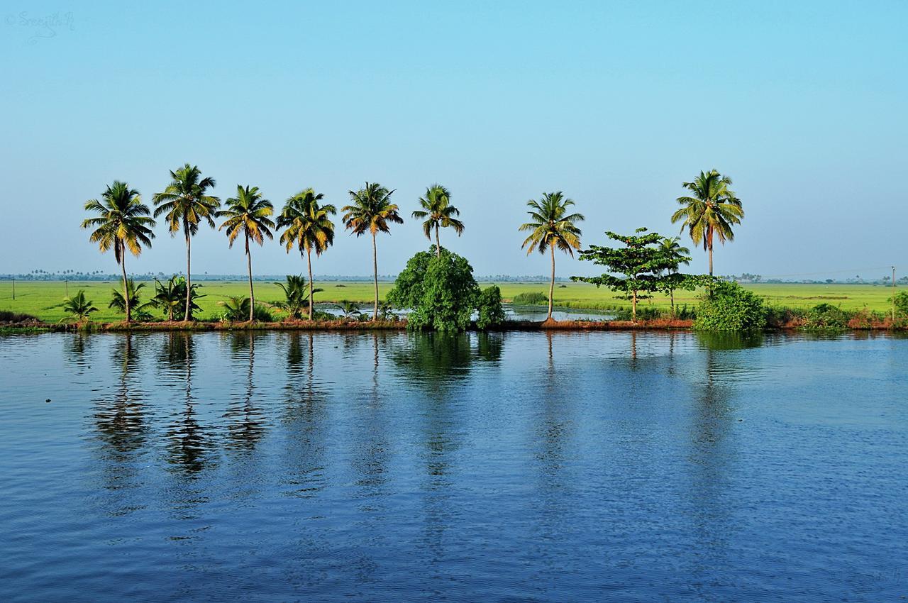 Alappuzha Marari Peterland 아파트 객실 사진